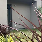 Singella24 *
