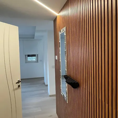 Singella24