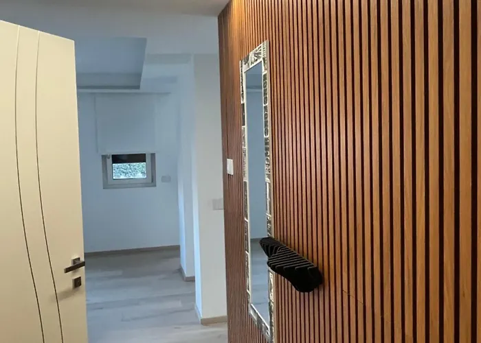 Singella24